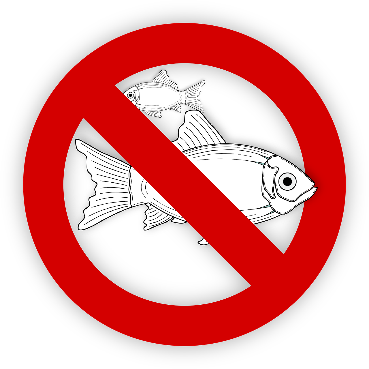 pixabay-995050-74.png